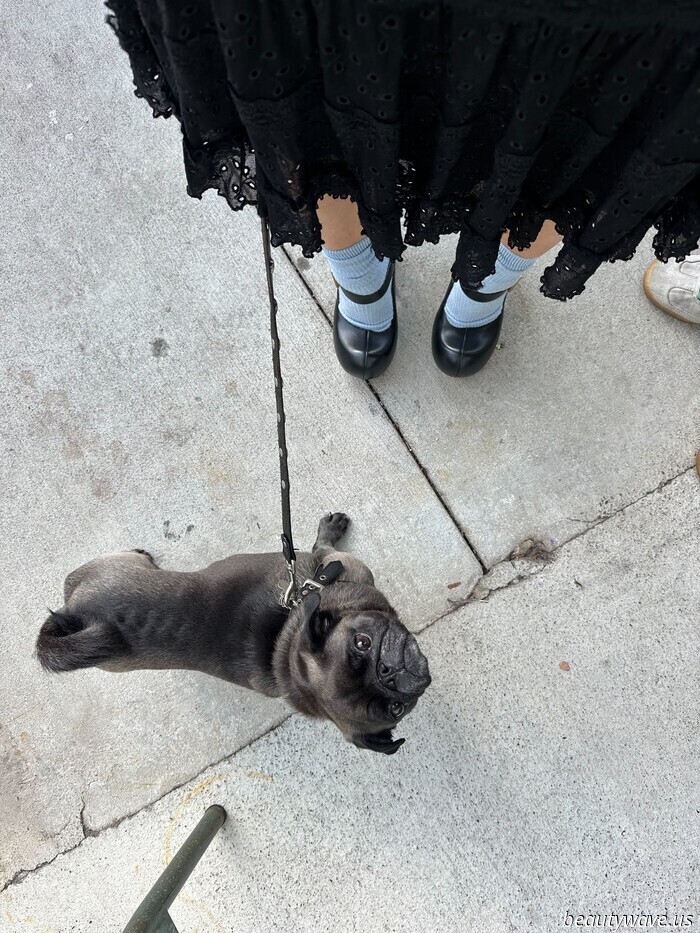 I Wore the Trending Marc Jacobs Doll Shoes in New York—Here’s My Genuine Review (and Loads of Photos)