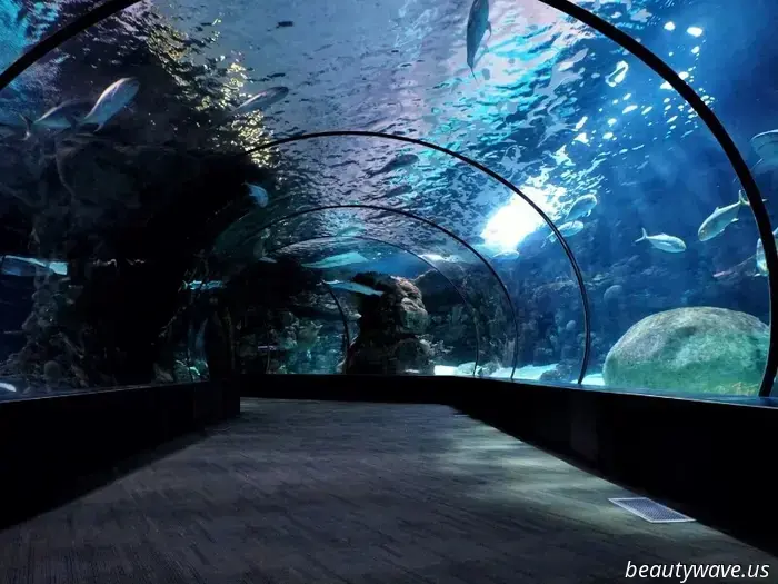 11 Nostalgic Travel Ideas to Reawaken Your Inner Child