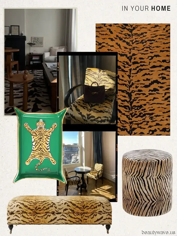 Stampa Leopardo, Hai Finito&mdash;l'Alt 2026 che Tutti Stanno Cercando per i Loro Armadi e Case