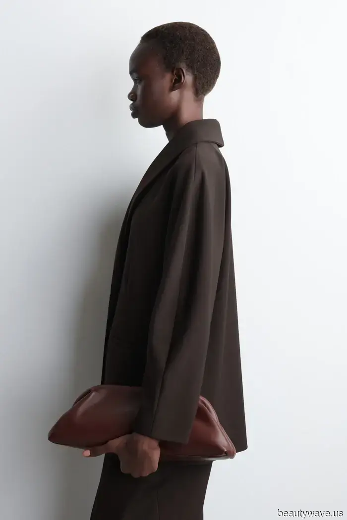 Voglio una nuova borsa per il 2026&mdash;Questi 30 modelli sotto i 500 dollari sembrano eleganti e raffinati