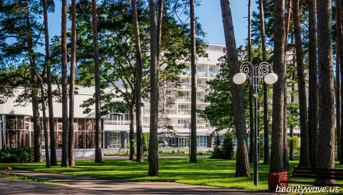 Richtige Erholung – die ganze Schönheit von Belarus im Sanatorium „Sosny“.