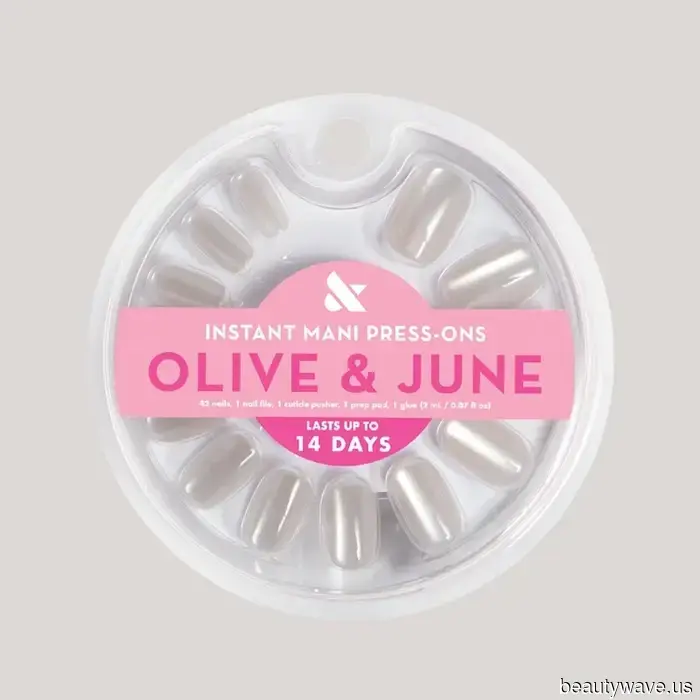 Hailey Bieber's Velvet Snowflake Manicure is the style I'm planning to get at the salon this November.