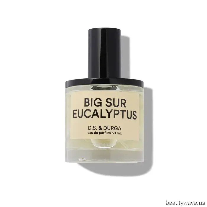 9 Mountain-Inspired Fragrances That Suggest "I Possess a Luxury Chalet in the Alps"