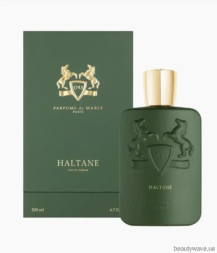 Based on our Editors' Group Chats, here are the top colognes for men.