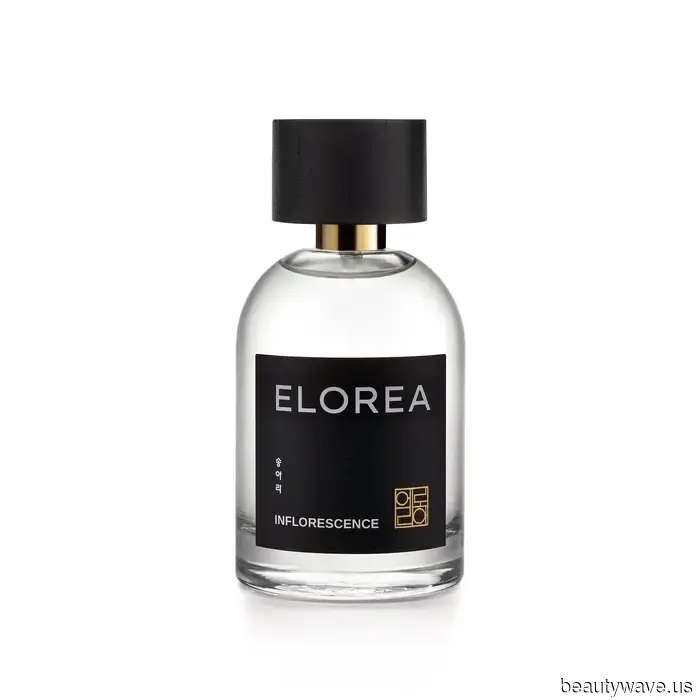 Elegante, sofisticato, alla moda&mdash;Questo marchio di profumi K-Beauty sarà ovunque nel 2026