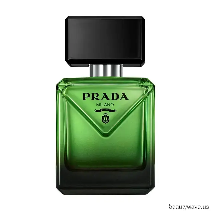According to discussions among our editorial team, these are the top colognes for men.