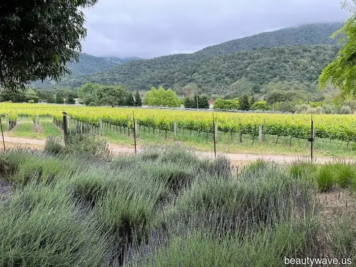 Top Places to Visit in 2026, According to Specialists