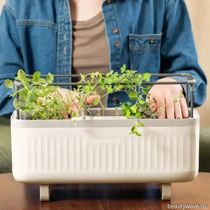 20 Hobby Indoor per Superare l'Inverno