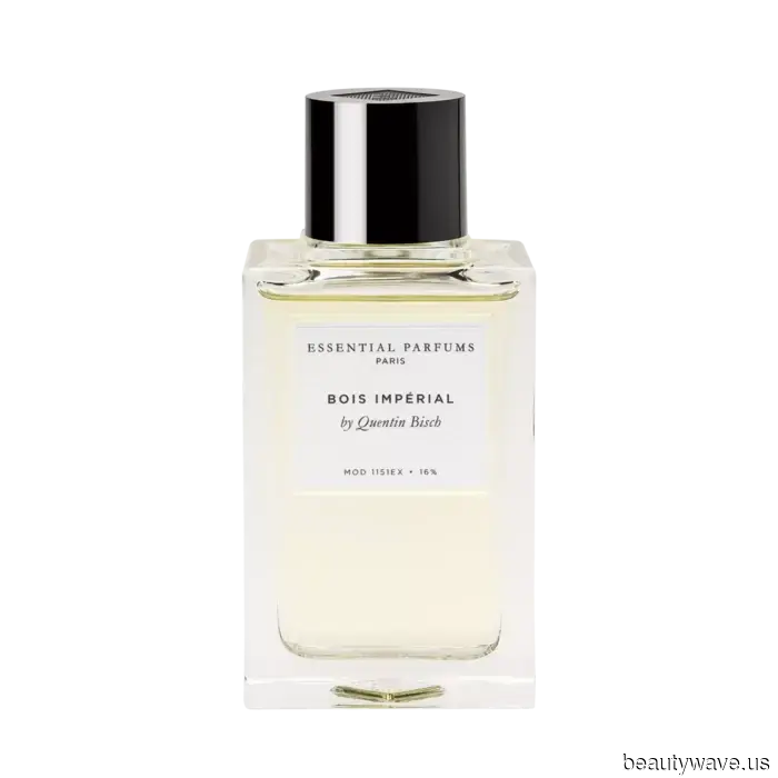 As a Fragrance Expert, I assure you that these 11 perfumes will shape the essence of 2026.