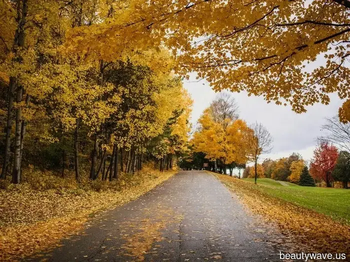 Empaca tus maletas: Los mejores destinos de otoño para visitar esta temporada
