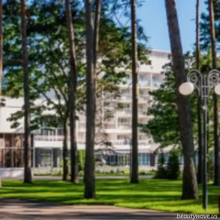 Richtige Erholung – die ganze Schönheit von Belarus im Sanatorium „Sosny“.