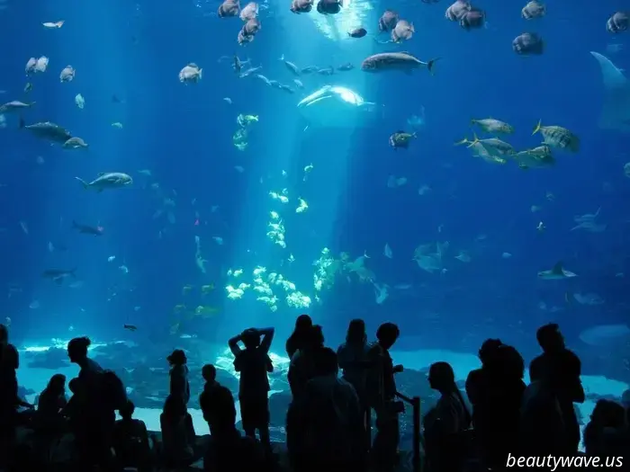 11 Nostalgic Travel Ideas to Reawaken Your Inner Child
