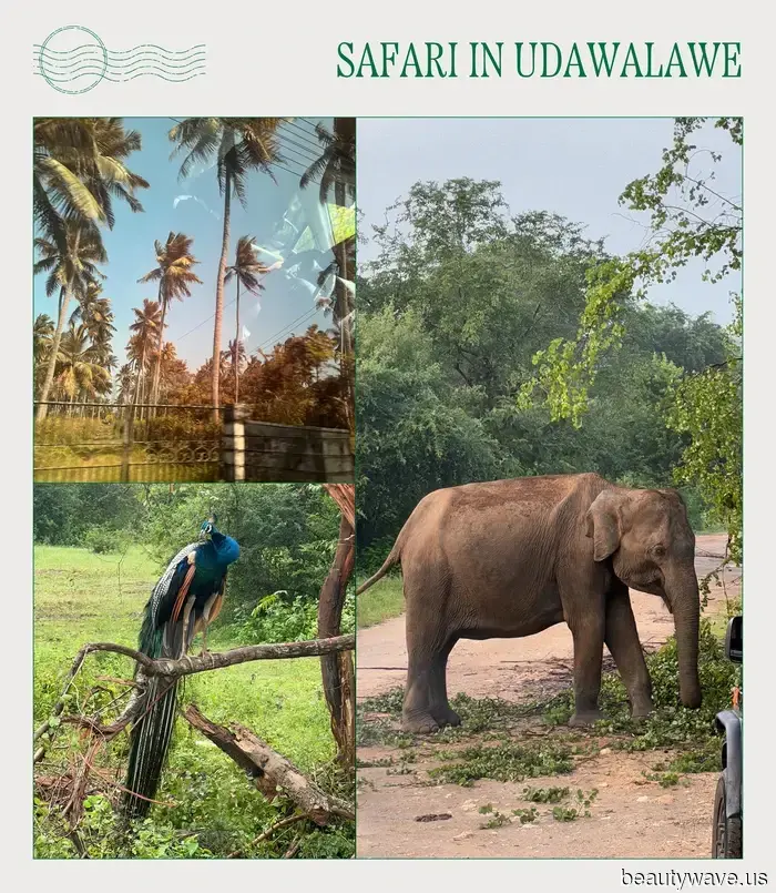 La meta di viaggio in ascesa che la folla della moda sta evitando a favore di Bali e Thailandia