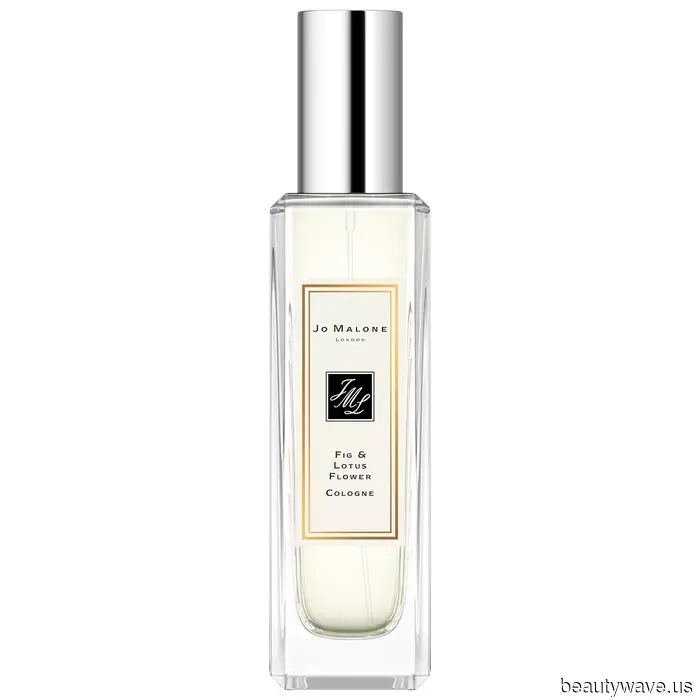 11 Fig Scents That Capture the Fresh Air, Gentle Breeze, and Sun-Kissed Skies of a Mediterranean Summer