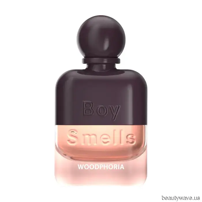 11 Fig Scents That Capture the Fresh Air, Gentle Breeze, and Sun-Drenched Skies of Mediterranean Summers