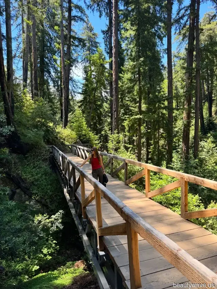 I just returned from the ultimate summer road trip in Northern California—here's what I brought, the places I visited, and what…