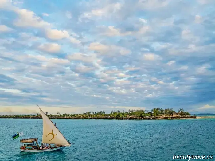 New Year's magic at the hotels of TheCocoonCollection group