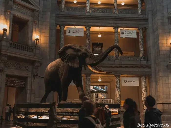 11 Nostalgic Travel Ideas to Reawaken Your Inner Child