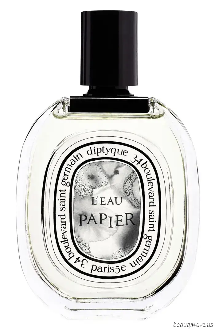 Sono un editor ossessionato dai profumi e consiglio queste 15 fragranze Nordstrom a chiunque voglia ascoltare
