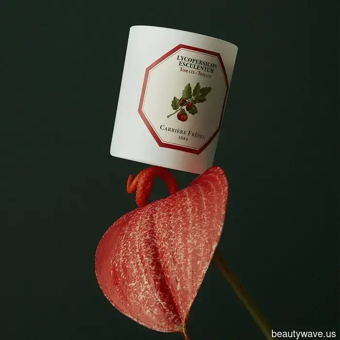 31 Must-Have Beauty Products That Occupy Space in My 35-Square-Foot NYC Bathroom