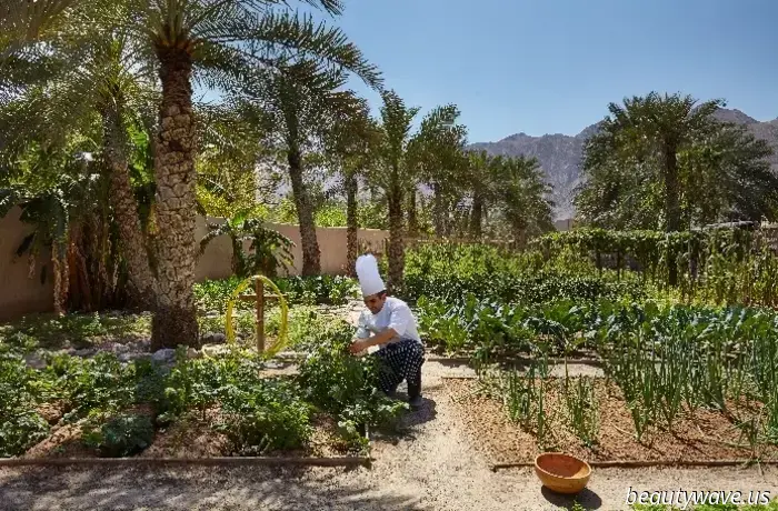 Fresh news from the places worth packing a suitcase for: from breakfast with a view of the Eiffel Tower to dinner by a canyon in Oman. A selection from TOP Signature.