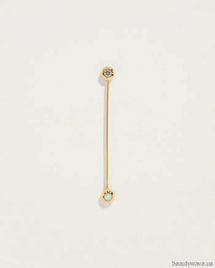 Alle meine Freunde mit coolem Stil machen diesen Ohrpiercing-Trend, der niemals veraltet sein wird.