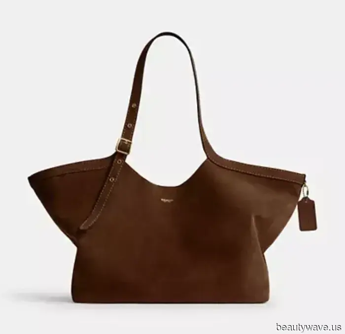 The Chic It Bag That Every Fashion Editor and Trendy Celebrity Desires to Carry This Fall