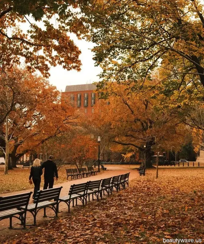 Grab a Cup of Coffee and a Takeout Menu: 12 Ways to Enjoy a Gilmore Girls Autumn