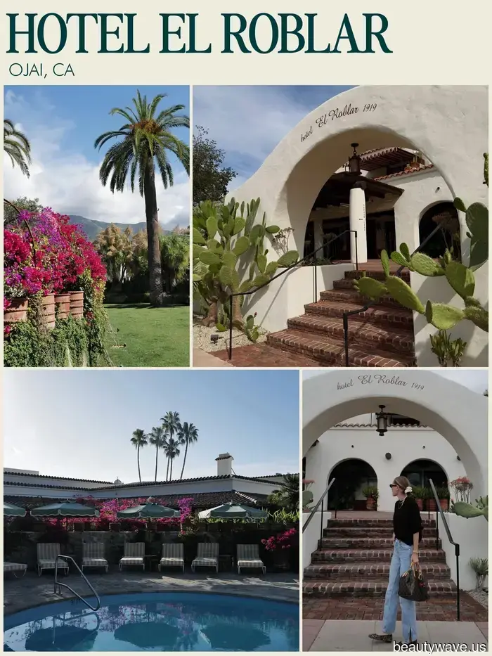 From Sardinia to South Beach, I’m naming these the eight most fashionable hotels of 2026.