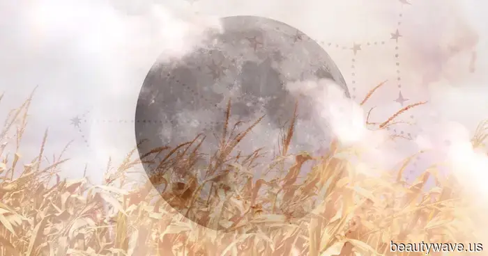How the Corn Moon This Week Will Impact Your Zodiac Sign