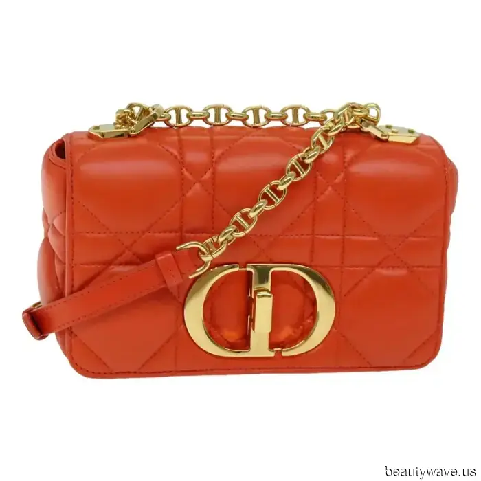 9 Bolsos Clásicos de Dior que la Gente de Moda, Reales y Celebridades Nunca Dejarán de Llevar