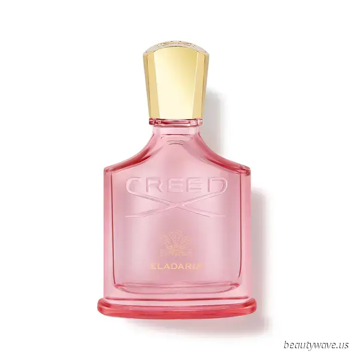 Wenn du nach einem Duft riechen willst, der extrem teuer wirkt, solltest du diese Parfums kennen.