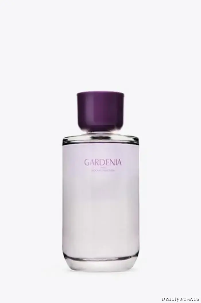 I consistently receive compliments on Zara fragrances—these 14 could effortlessly be mistaken for designer scents.