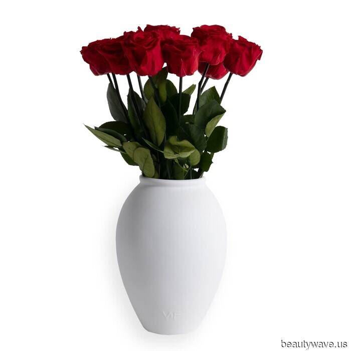 Von Parfüm bis Matcha&mdash;das sind die zufälligen (aber großartigen) Dinge, die ich gerade liebe.