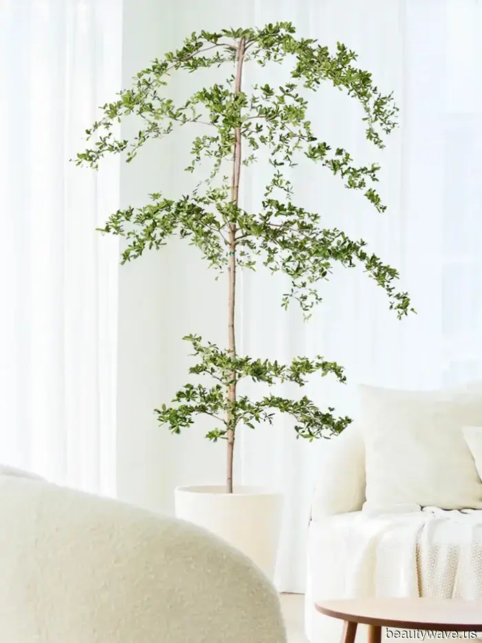 6 Trends Shaping Home Décor in 2025