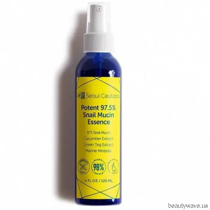 From Ginseng to PDRN: 5 Korean Skincare Ingredients Driving the Popularity of High-Performance Products Online