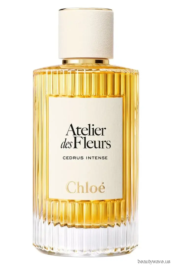 Editors in Beauty Consensus: These 13 Fragrances from Nordstrom Are Most Likely to Attract Compliments.