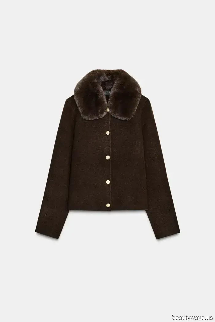 Die besten Kunstfellartikel unter 500 $ von Zara, Revolve und Mango