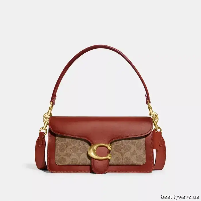 The Chic It Bag That Every Fashion Editor and Trendy Celebrity Desires to Carry This Fall