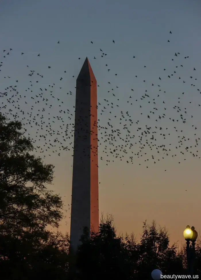 Prepare Your Luggage: The Top Fall Getaways to Explore This Season