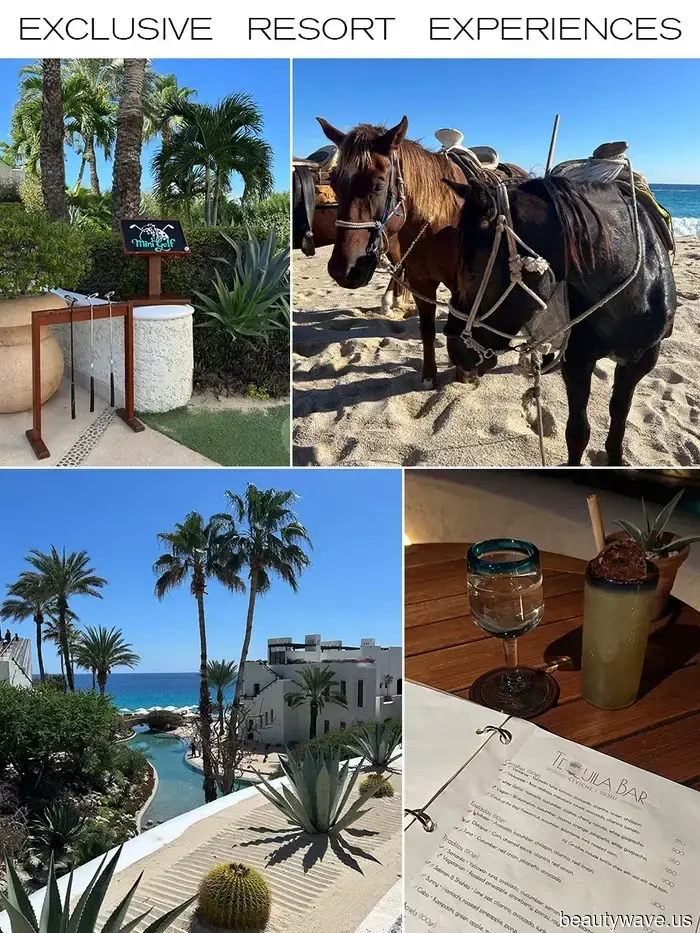 Dieses atemberaubende Cabo-Resort ist ein langjähriger Favorit unter den Prominenten&mdash;so ist es, dort zu wohnen…