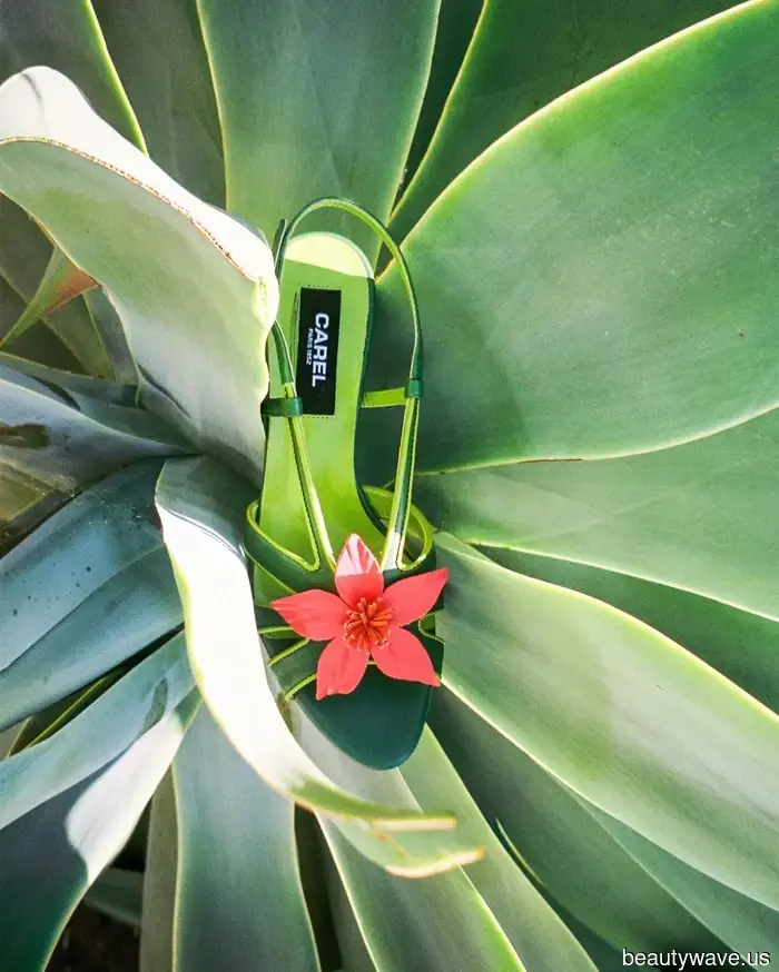 These Are the Gorgeous Summer Shoes That Every Fashion Enthusiast Is Eager to Snatch Up