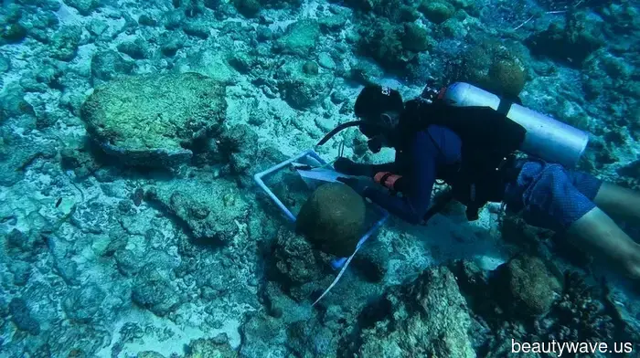 Soneva Jani è diventato il primo resort alle Maldive a ricevere lo status OECM.