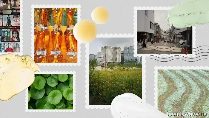 From Ginseng to PDRN: 5 Korean Skincare Ingredients Driving the Popularity of High-Performance Products Online