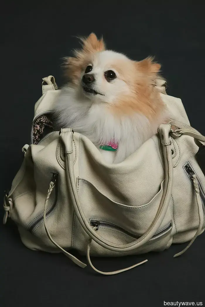 Questi nuovi arrivi FP sono il sogno autunnale di una persona appassionata di moda&mdash;34 articoli che vedrai per le strade di New York.