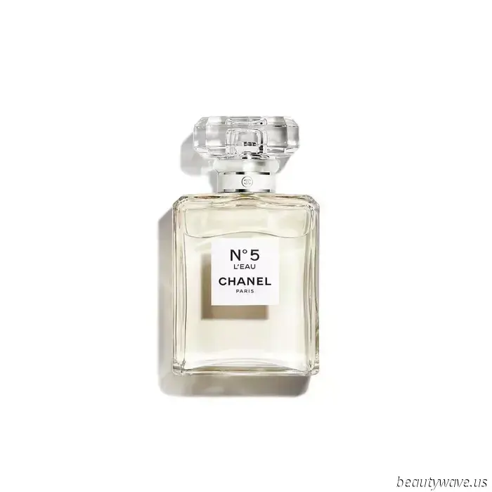Se ti piace avere un profumo pulito e di lusso, probabilmente dovresti possedere uno di questi 7 profumi.