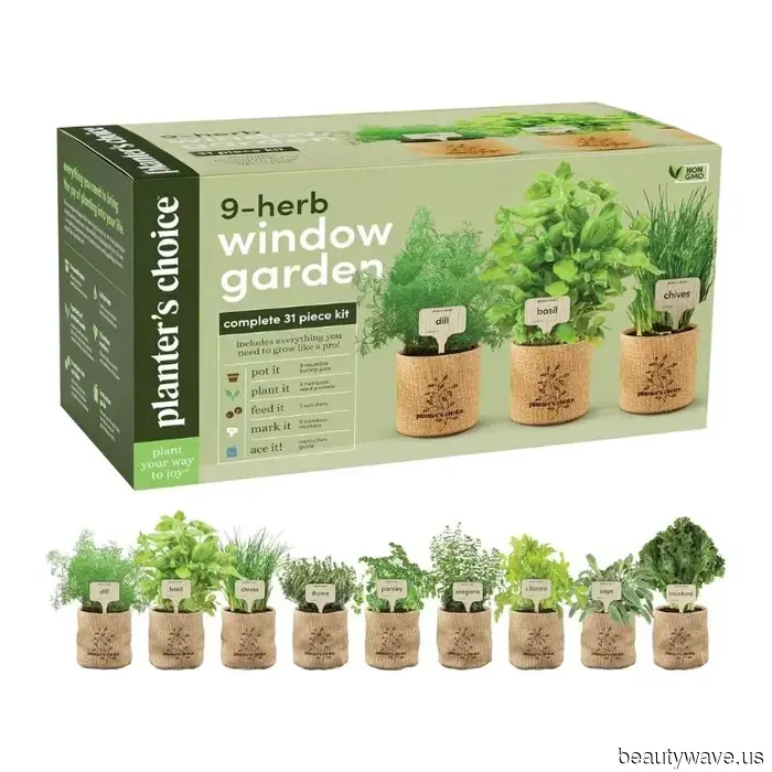 20 Hobby Indoor per Superare l'Inverno