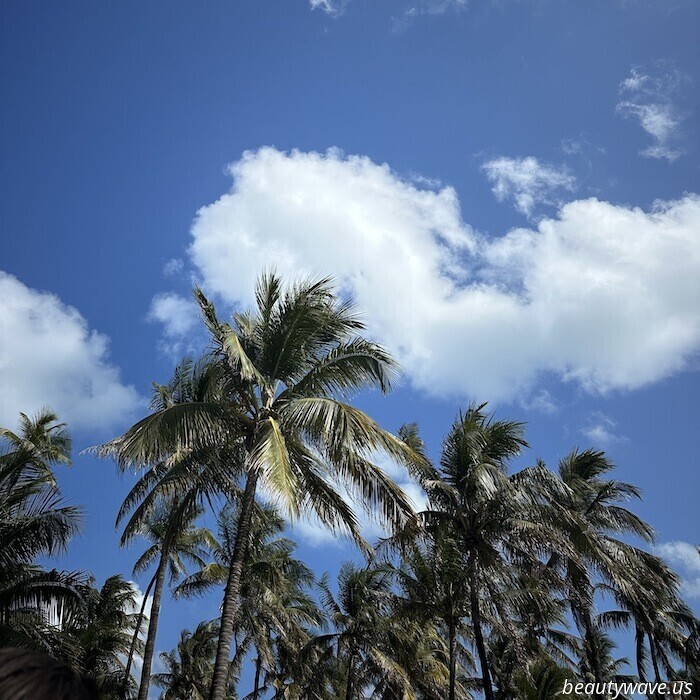 I spent 72 hours in South Beach—here's a rundown of all the fashion and beauty items I brought along.
