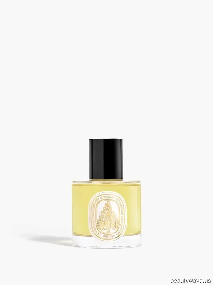 Der inoffizielle Diptyque Geschenkleitfaden: 13 schicke Düfte, Kerzen und Wohnaccessoires auf meiner Liste für diese Feiert Saison