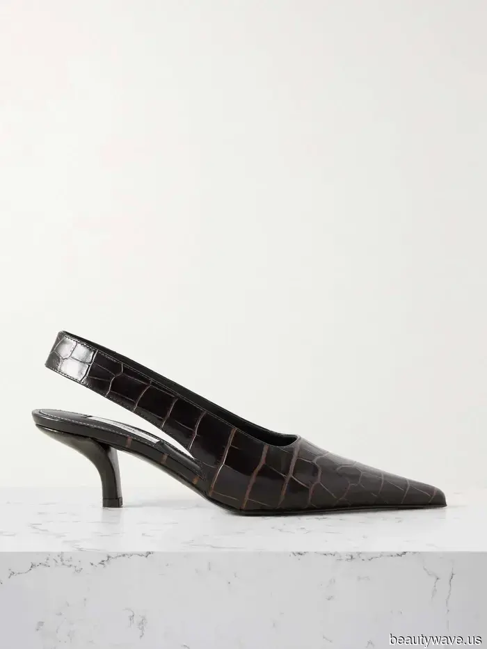 Se vuoi far sembrare il tuo abbigliamento da sera costoso e raffinato, guarda a questa scarpa estremamente chic.